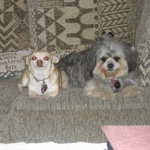 Meet your Posher, Sara